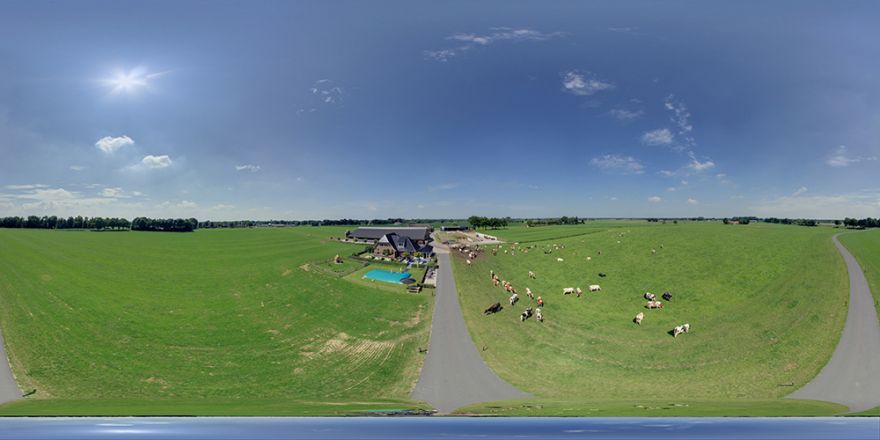 Rosahoeve